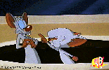 ACME Labs