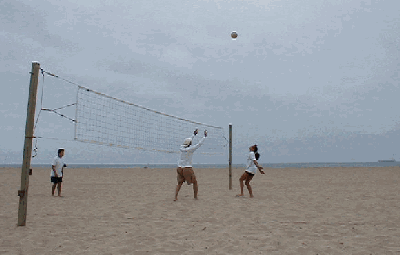sbvb2.gif