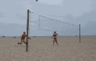 sbvb3.gif