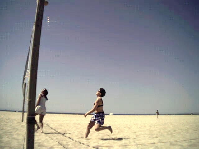 01apr013.jpg