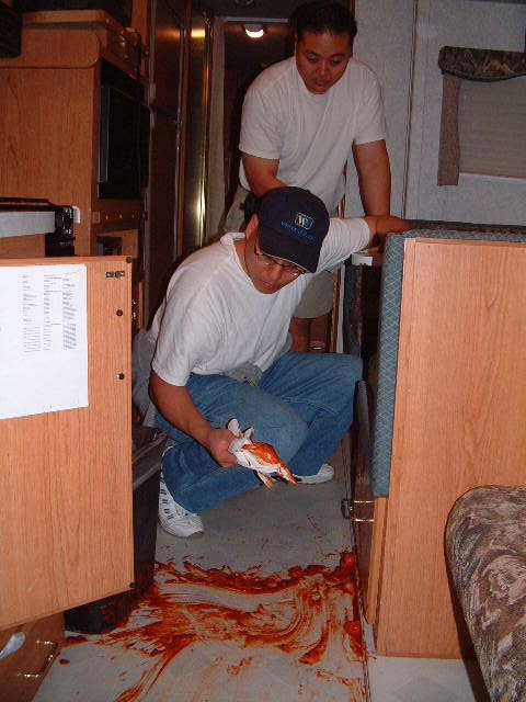 first_accident.jpg