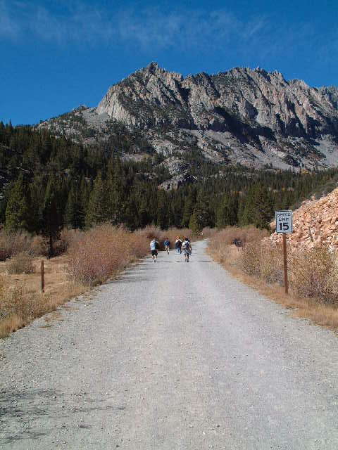 hiking_road.jpg