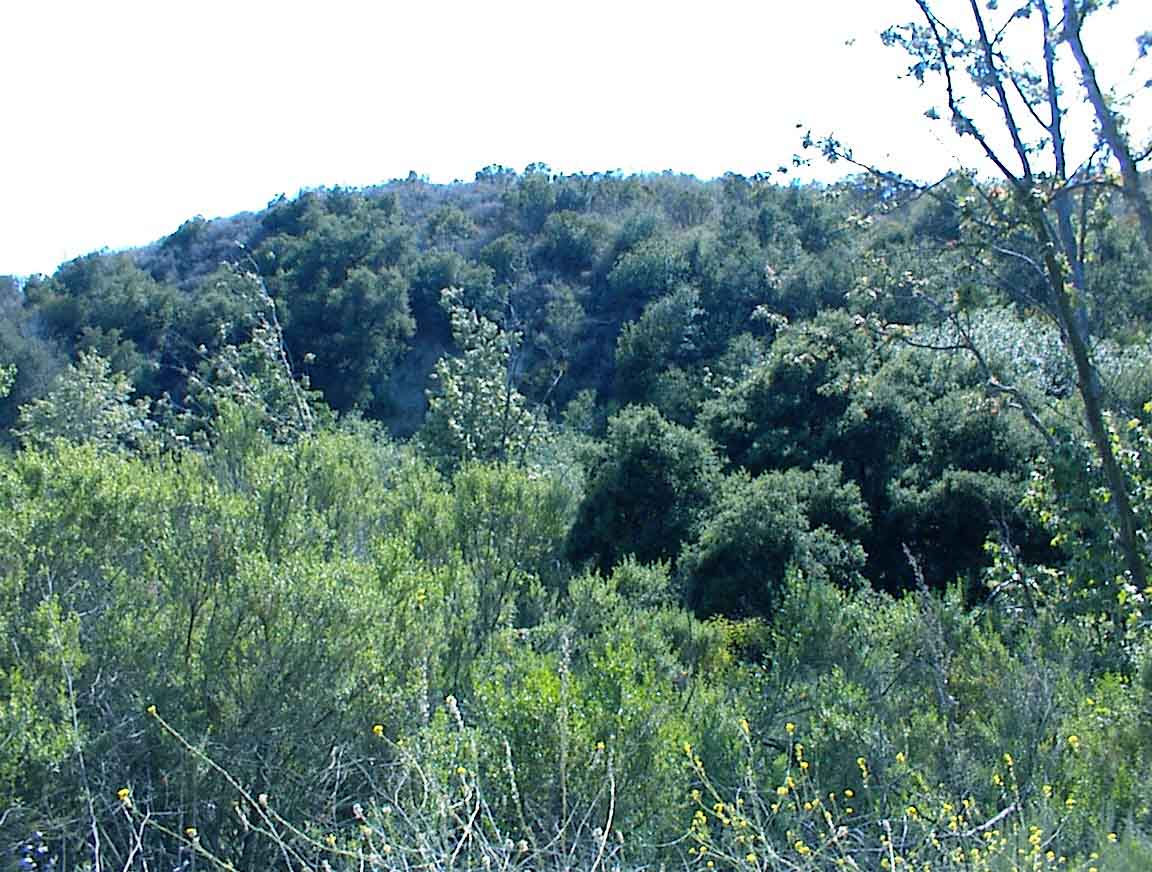 020511-26.jpg