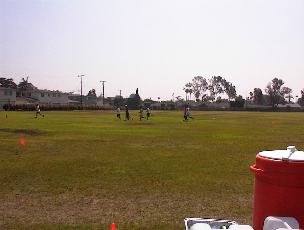 dsc00004.jpg