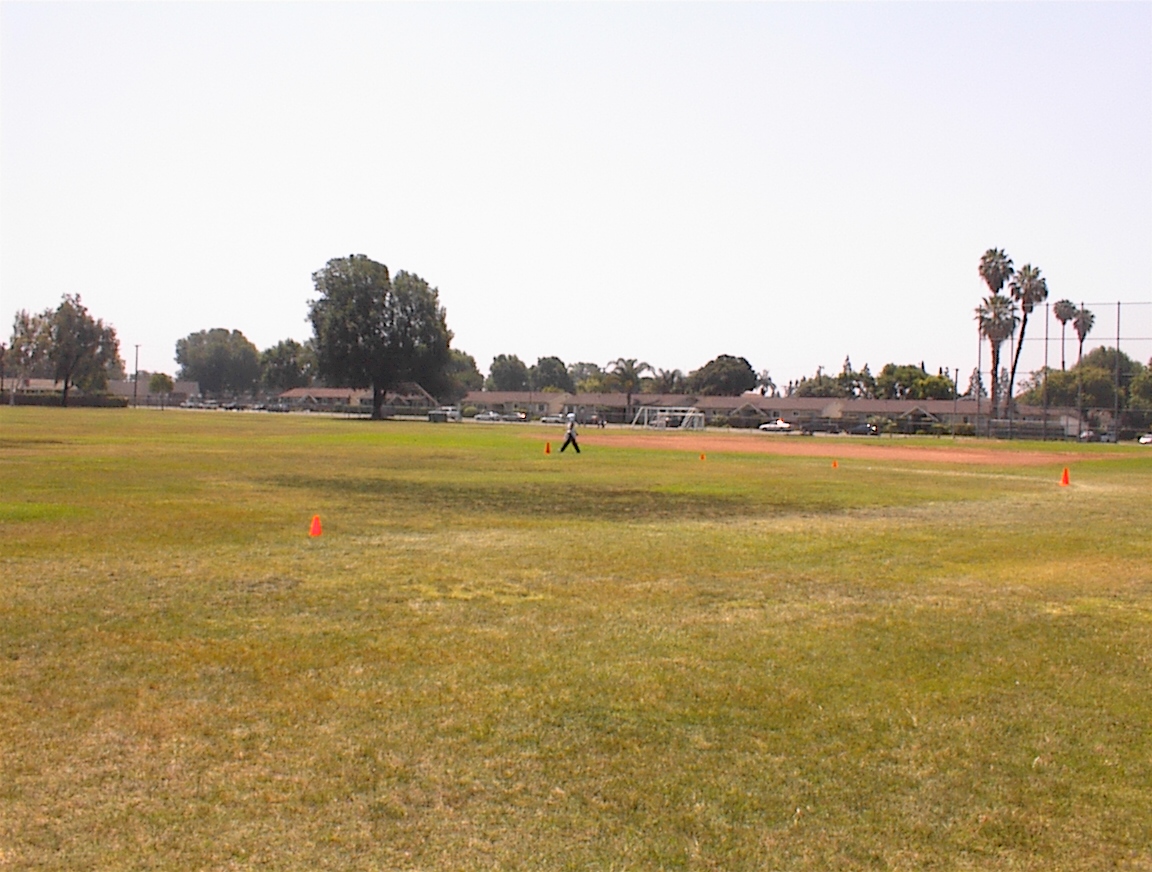 dsc00013.jpg
