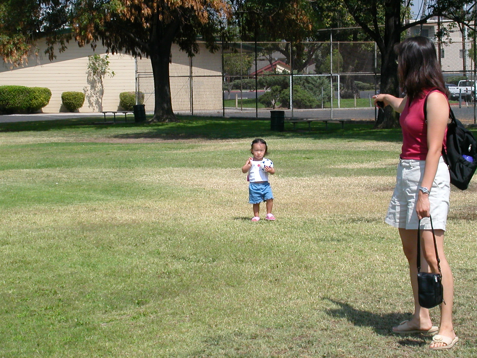 dscn0334.jpg