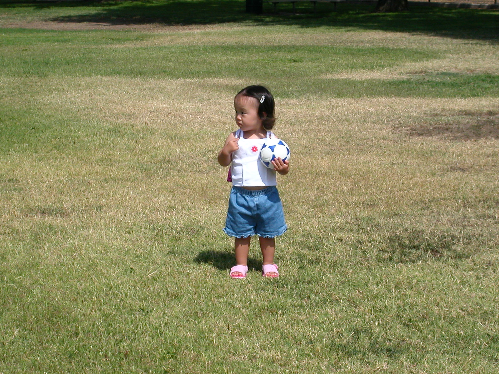 dscn0335.jpg