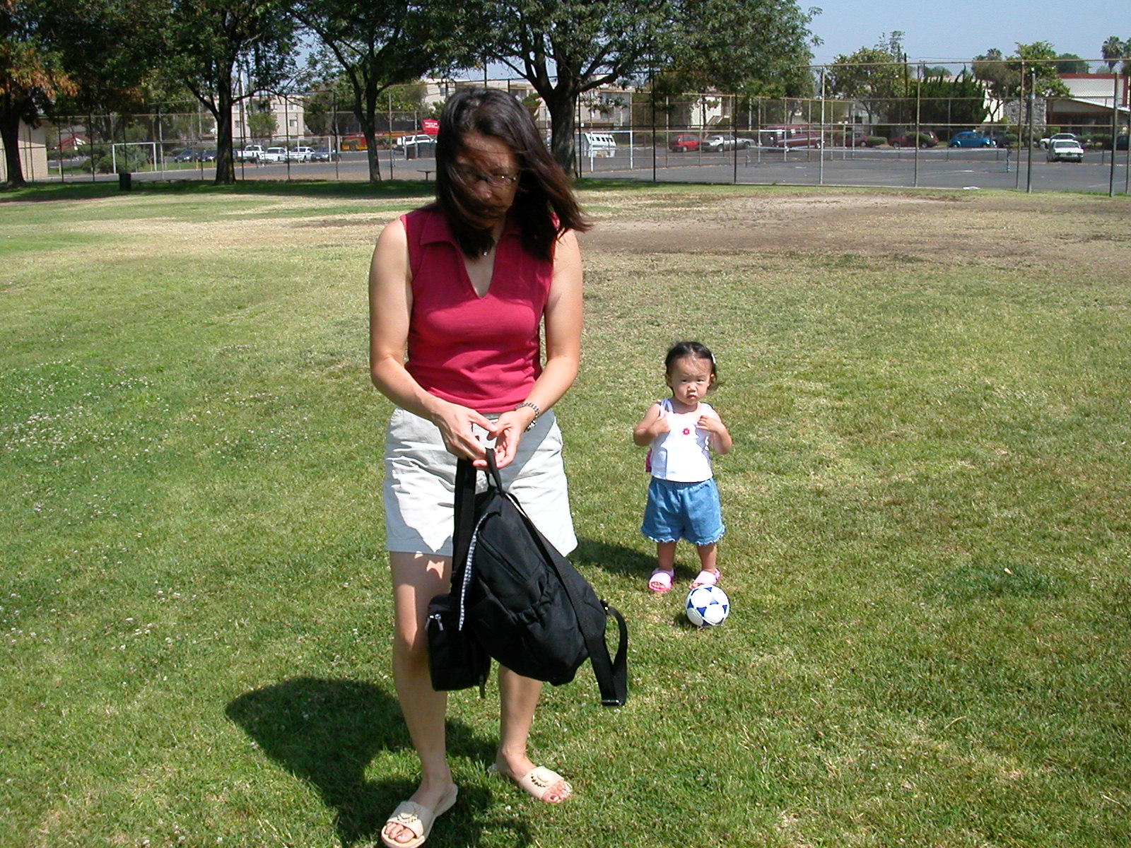 dscn0339.jpg