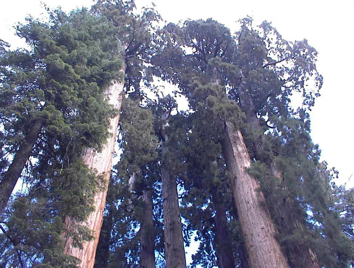 020720-14.jpg