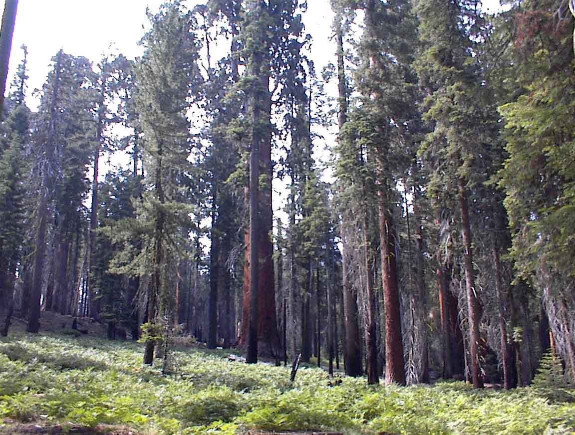 020720-17.jpg
