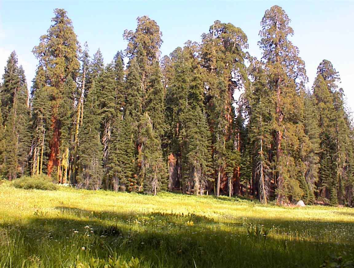020720-20.jpg
