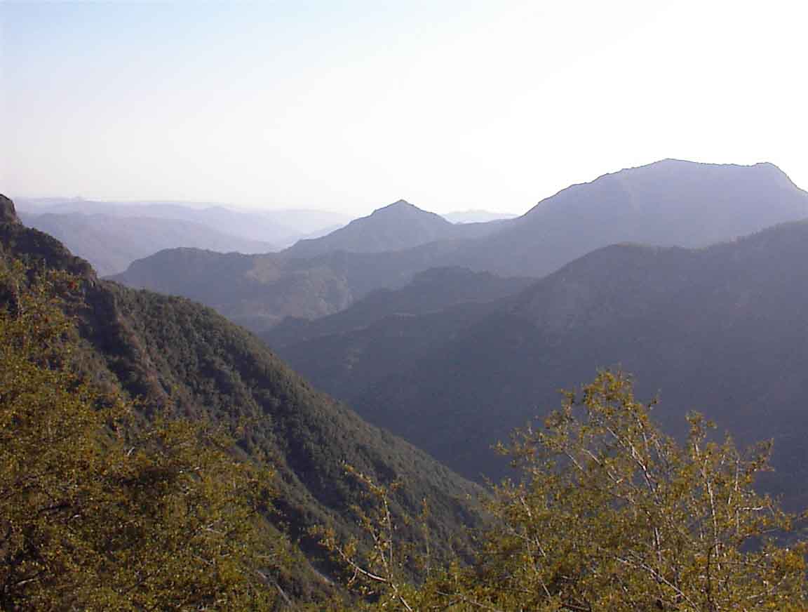 020720-40.jpg