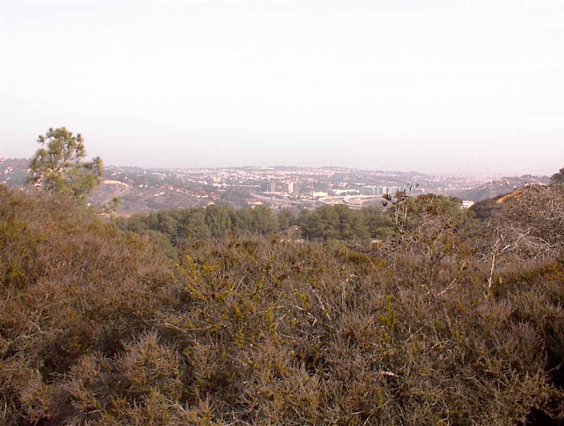 021214-06.jpg