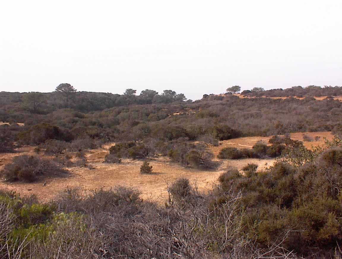 021214-07.jpg