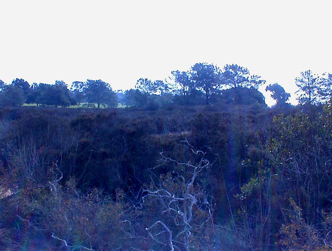 021214-10.jpg