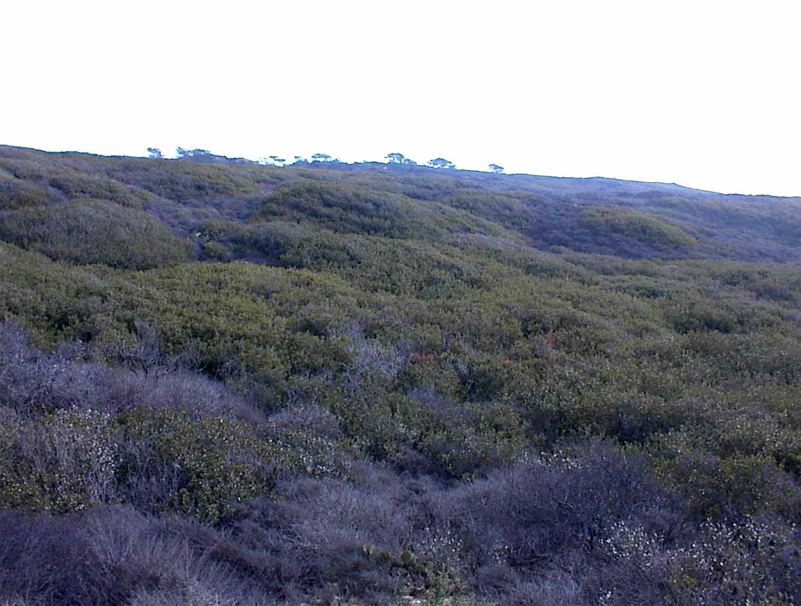 021214-27.jpg