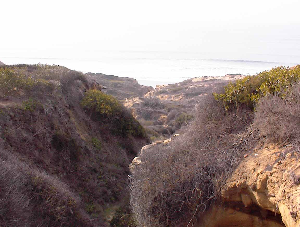 021214-59.jpg