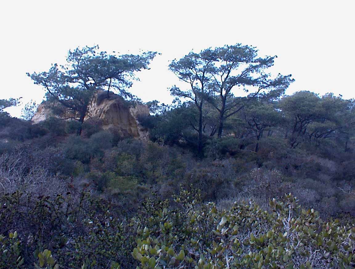 021214-76.jpg