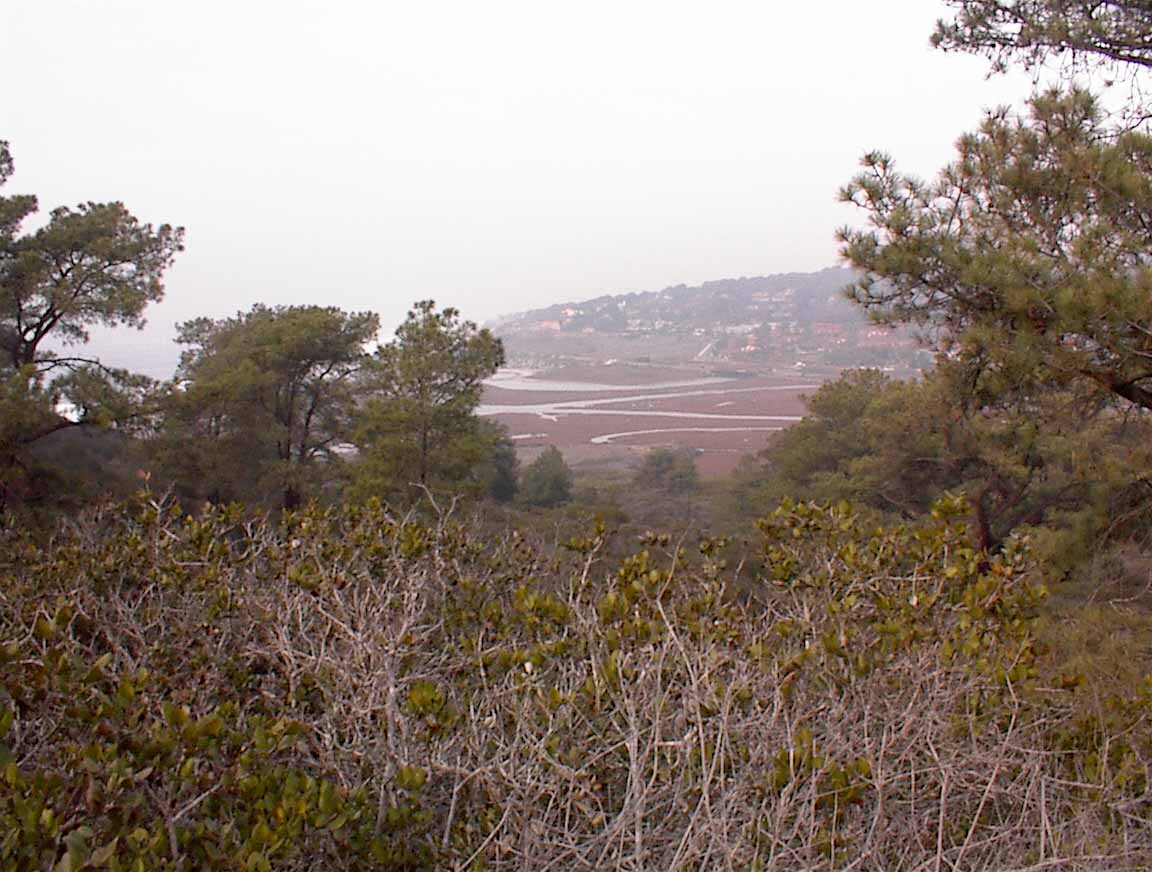 021214-77.jpg